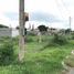  Land for sale in Juarez, Nuevo Leon, Juarez