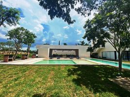  Grundstück zu verkaufen in Yaxkukul, Yucatan, Yaxkukul
