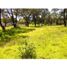  Land for sale in Xaltocan, Tlaxcala, Xaltocan