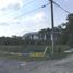  Land for rent in Tamiahua, Veracruz, Tamiahua