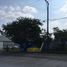  Land for rent in Tamiahua, Veracruz, Tamiahua