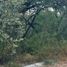  Land for sale in Santiago, Nuevo Leon, Santiago, Nuevo Leon