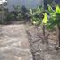  Terreno (Parcela) en venta en Ngaglik, Yogyakarta, Ngaglik