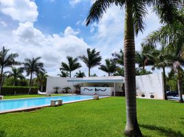  Grundstück zu verkaufen in Progreso, Yucatan, Progreso