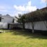 500 平米 Office for rent in Mexico, Toluca, Mexico