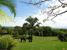 5 Habitación Villa en venta en El Cerrito, Valle Del Cauca, El Cerrito