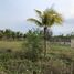  Land for sale in O Cho Dua, Hanoi, O Cho Dua, Dong Da, Hanoi