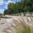  Land for sale in Dolores Hidalgo, Guanajuato, Dolores Hidalgo, Guanajuato