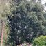  Terreno (Parcela) en venta en Llanquihue, Los Lagos, Puerto Montt, Llanquihue