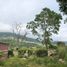  Land for sale in San Fernando, Chiapas, San Fernando