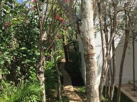 在Quintana Roo出租的3 卧室 屋, Cozumel, Quintana Roo