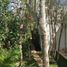 3 Bedroom House for rent in Cozumel, Quintana Roo, Cozumel