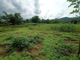  Land for sale in South Sulawesi, Bantimurung, Maros, South Sulawesi