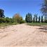  Land for sale in Maipu, Mendoza, Maipu