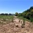  Land for sale in Maipu, Mendoza, Maipu