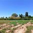  Land for sale in Maipu, Mendoza, Maipu