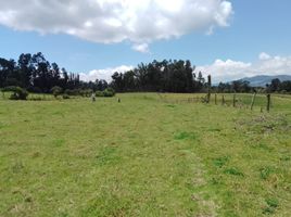  Terrain for sale in Sesquile, Cundinamarca, Sesquile