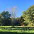  Land for sale in Cautin Araucania, Villarrica, Cautin