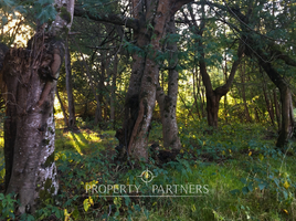  Land for sale in Cautin Araucania, Villarrica, Cautin