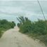  Grundstück zu verkaufen in Progreso, Yucatan, Progreso
