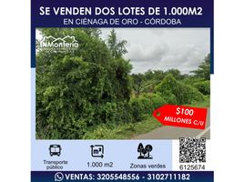  Terreno (Parcela) en venta en Monteria, Córdoba, Monteria