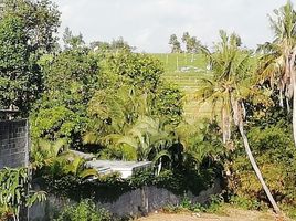  Land for sale in Mengwi, Bali, Mengwi