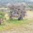  Land for sale in Melipilla, Santiago, Curacavi, Melipilla