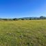  Terreno (Parcela) en venta en Chile, Vichuquen, Curicó, Maule, Chile