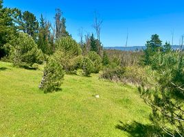  Terreno (Parcela) en venta en Chile, Vichuquen, Curicó, Maule, Chile