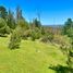  Land for sale in Vichuquen, Maule, Vichuquen, Curico