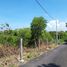  Tanah for sale in Nusa Dua, Bali, Nusa Dua