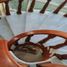 3 Schlafzimmer Wohnung zu verkaufen in Zapopan, Jalisco, Zapopan
