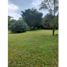  Land for sale in Venecia, Antioquia, Venecia