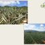  Land for sale in Compostela, Nayarit, Compostela