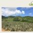  Land for sale in Compostela, Nayarit, Compostela