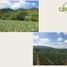  Land for sale in Compostela, Nayarit, Compostela
