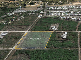  Terreno (Parcela) en venta en Merida, Yucatán, Merida