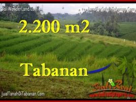  Tanah for sale in Selemadeg, Tabanan, Selemadeg