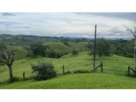  Land for sale in Pereira, Risaralda, Pereira