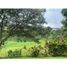  Land for sale in Pereira, Risaralda, Pereira