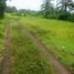  Land for sale in Selemadeg, Tabanan, Selemadeg