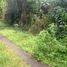  Land for sale in Selemadeg, Tabanan, Selemadeg