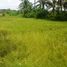  Land for sale in Selemadeg, Tabanan, Selemadeg