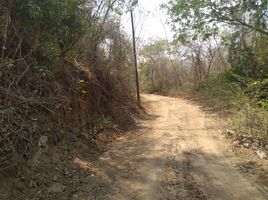  Land for sale in Dist Pochutla, Oaxaca, Dist Pochutla, Oaxaca
