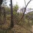  Land for sale in Dist Pochutla, Oaxaca, Dist Pochutla, Oaxaca