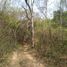  Land for sale in Dist Pochutla, Oaxaca, Dist Pochutla, Oaxaca