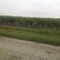  Land for sale in San Vicente Tancuayalab, San Luis Potosi, San Vicente Tancuayalab