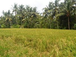  Land for sale in Ubud, Gianyar, Ubud