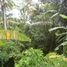  Land for sale in Ubud, Gianyar, Ubud