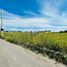  Terreno (Parcela) en venta en Atlixco, Puebla, Atlixco